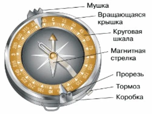 Компас Адрианова состоит из. Компас Андрианова. Магнитный компас. Компас Андрианова состоит.