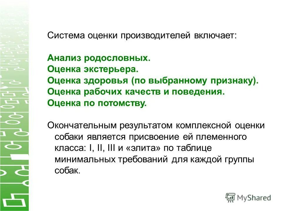 оценка по потомству. способы оценки экстерьера. экстерьер туловища собаки. методы оценки собак. оценка собак по конституции и экстерьеру.