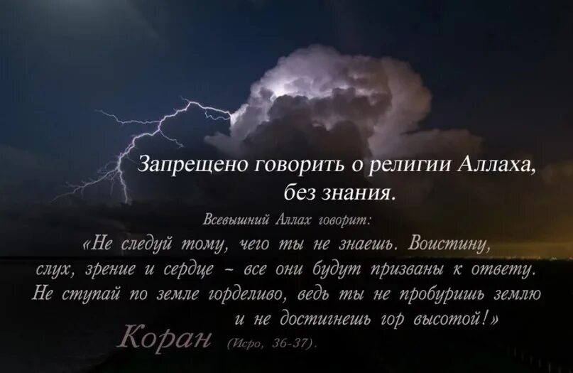 Сура про любовь. Цитаты про Всевышнего Аллаха. Коран цитаты о жизни. Коран цитаты.