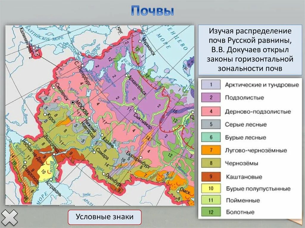 Климатическая карта Восточно-европейской равнины. Почвенная карта Восточно-европейской равнины. Карта климата Восточно европейской равнины. Климатические пояса Восточно европейской равнины на карте. Большая часть района занята природной зоной