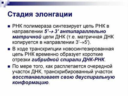 Элонгация шейки матки