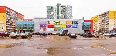 Цитрус волгоград