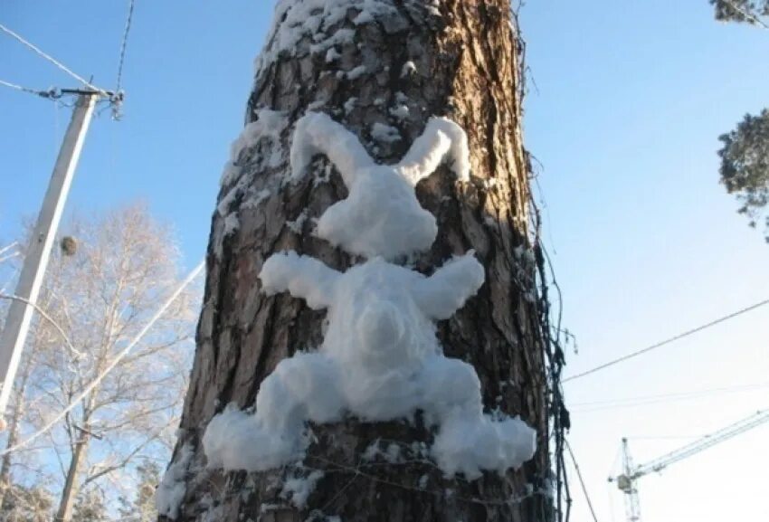 День сброса зимней шкурки. Снежный заяц на дереве. Заяц на столбе. Заяц в дереве. Заяц из снега на столбе.