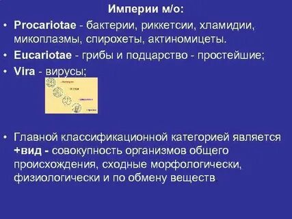Систематика риккетсий