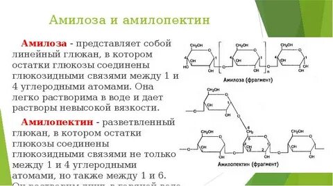 Амилопектин и гликоген применение в медицине