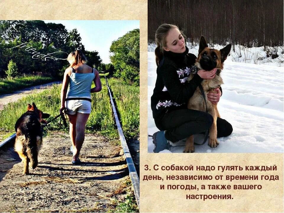 Прогулка сколько идет. Прогулка с собакой. гулять с собакой. день поогулсеи с собакой. день прогулки с собакой.