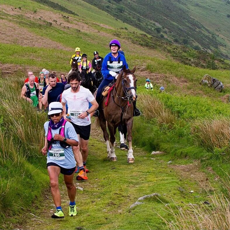 марафон человека против лошади. хью лобб. марафон человека против лошади. марафон человека против лошади. марафон человека против лошади.