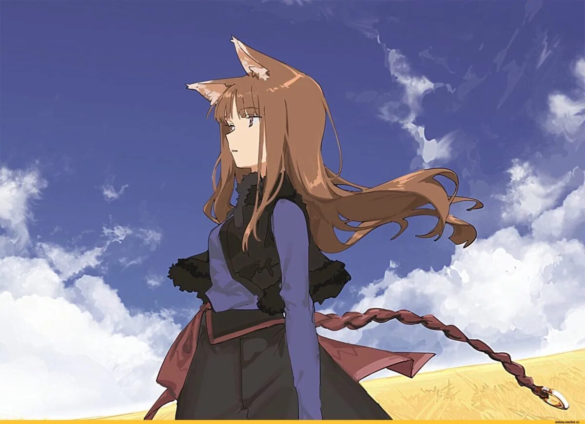 Холо мудрая волчица и пряности. Холо Spice and Wolf. Холо мудрая волчица.