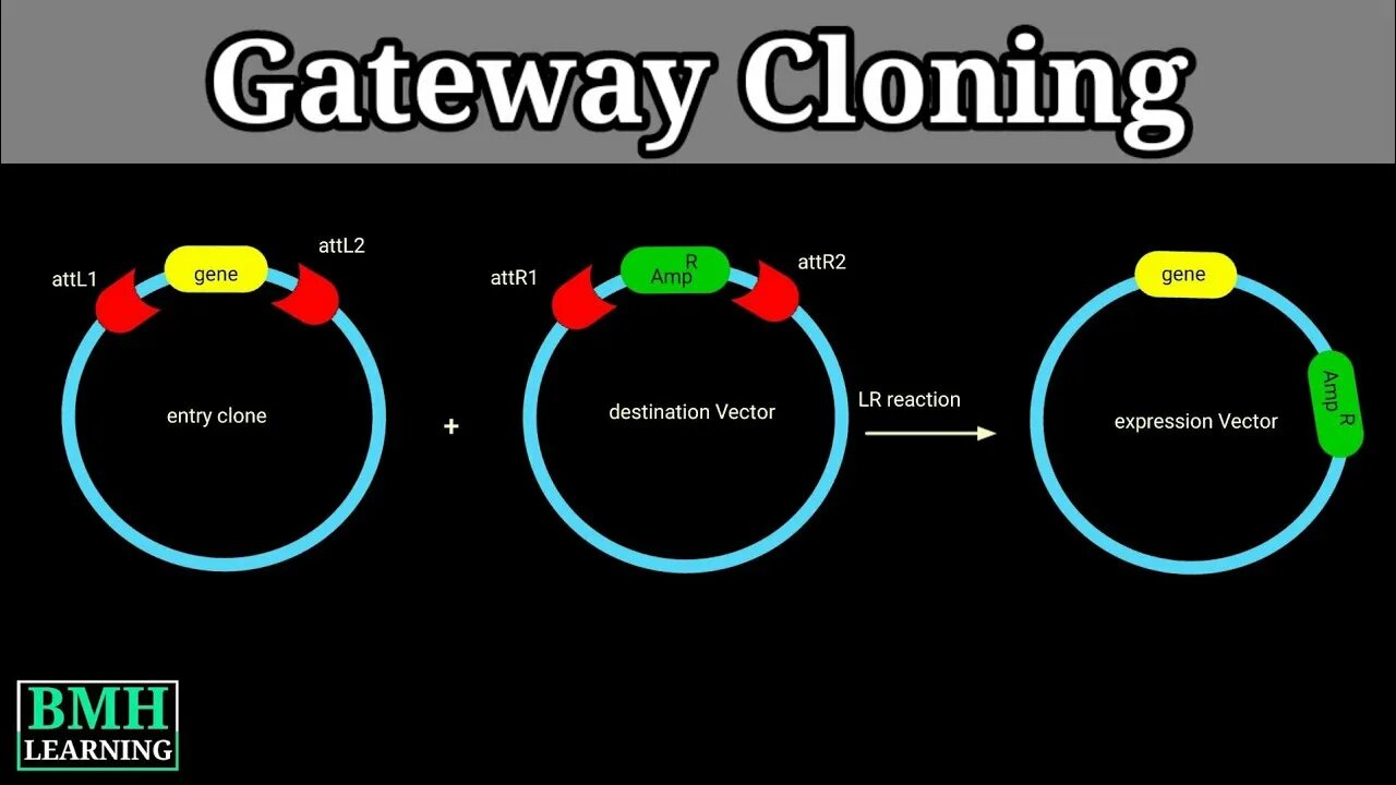 Gateway system. Gateway cloning technology. how is cloning done. is cloning good or bad.
