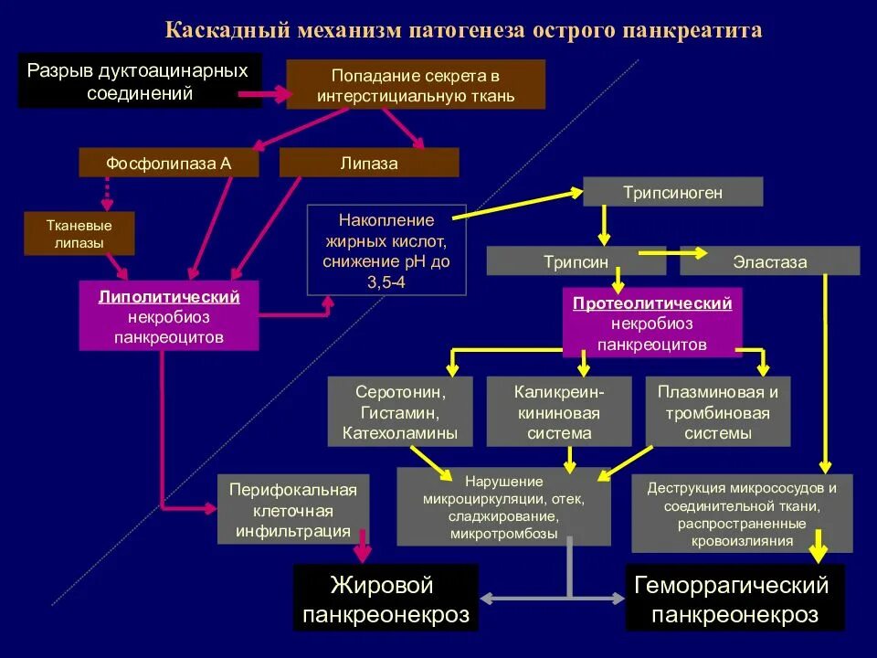 Этиопатогенез острого панкреатита. Патогенез при остром панкреатите. Этиология острого панкреонекроза. Механизмы развития острого панкреатита схема. Исходы патогенеза