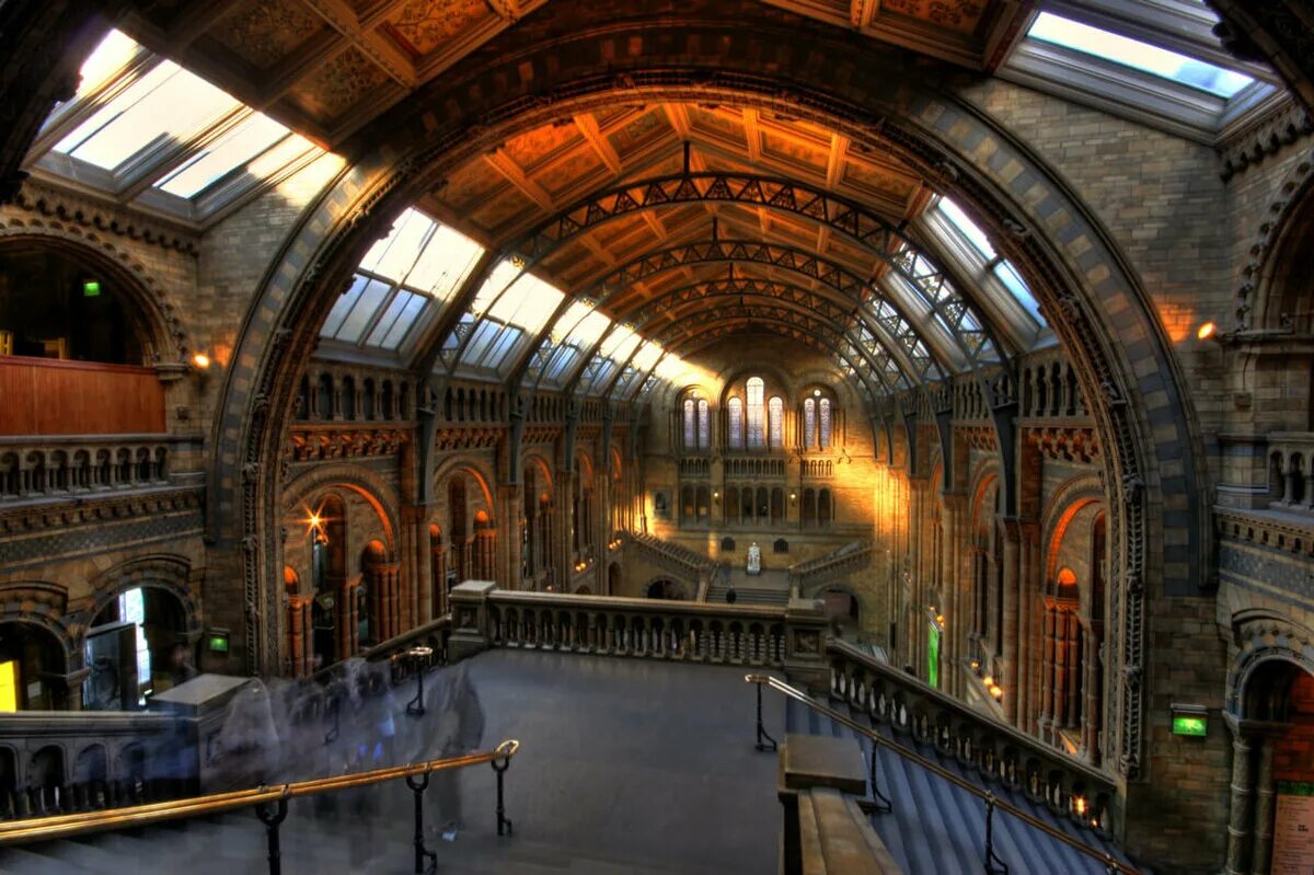 Какие музеи есть в лондоне. Музей естествознания Лондон. Музей Лондона (Museum of London) история создания. Natural History Museum London. Музей естествознания в Лондоне здание.