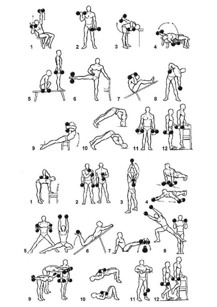 Зарядка с гантелями для женщин. Комплекс упражнений с гантелями (10-12 упражнений). Комплекс силовых упражнений с гантелями для мужчин. Гантельный комплекс для мальчика 12-14. Упражнение с гантелей схема.