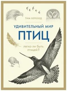 Тим птица