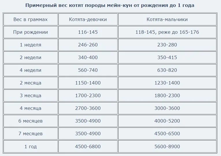 Вес котенка в 2. Вес котенка Мейн куна по месяцам таблица. Вес котёнка Мейн кун по месяцам таблица. Таблица веса Мейн куна по месяцам нормы. Вес Мейн куна по месяцам таблица.