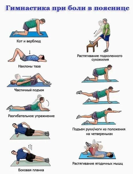 Заболевания при болях в пояснице. Упражнения для поясницы. Упражнения от боли в пояснице. Упражнения при болях в спине. Боль в пояснице упражнения.