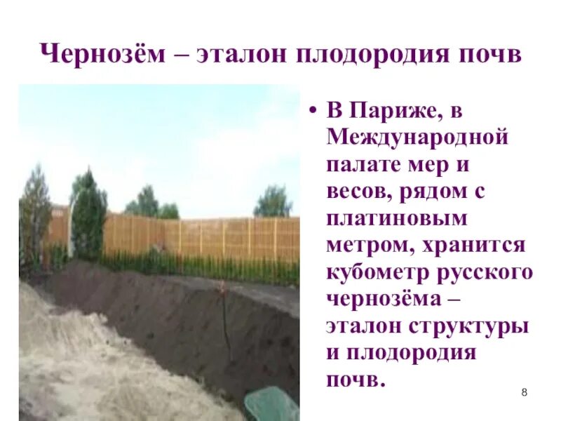 Черноземные почвы. Эталон плодородной почвы. Монолит чернозёма из воронежской губернии. Эталон чернозема в париже. Чернозем в музее во франции.