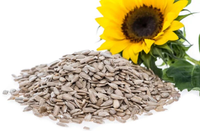 Fat burning chia drink. От семечек болит. От семечек болит. От семечек болит. Мешки для семян подсолнечника.