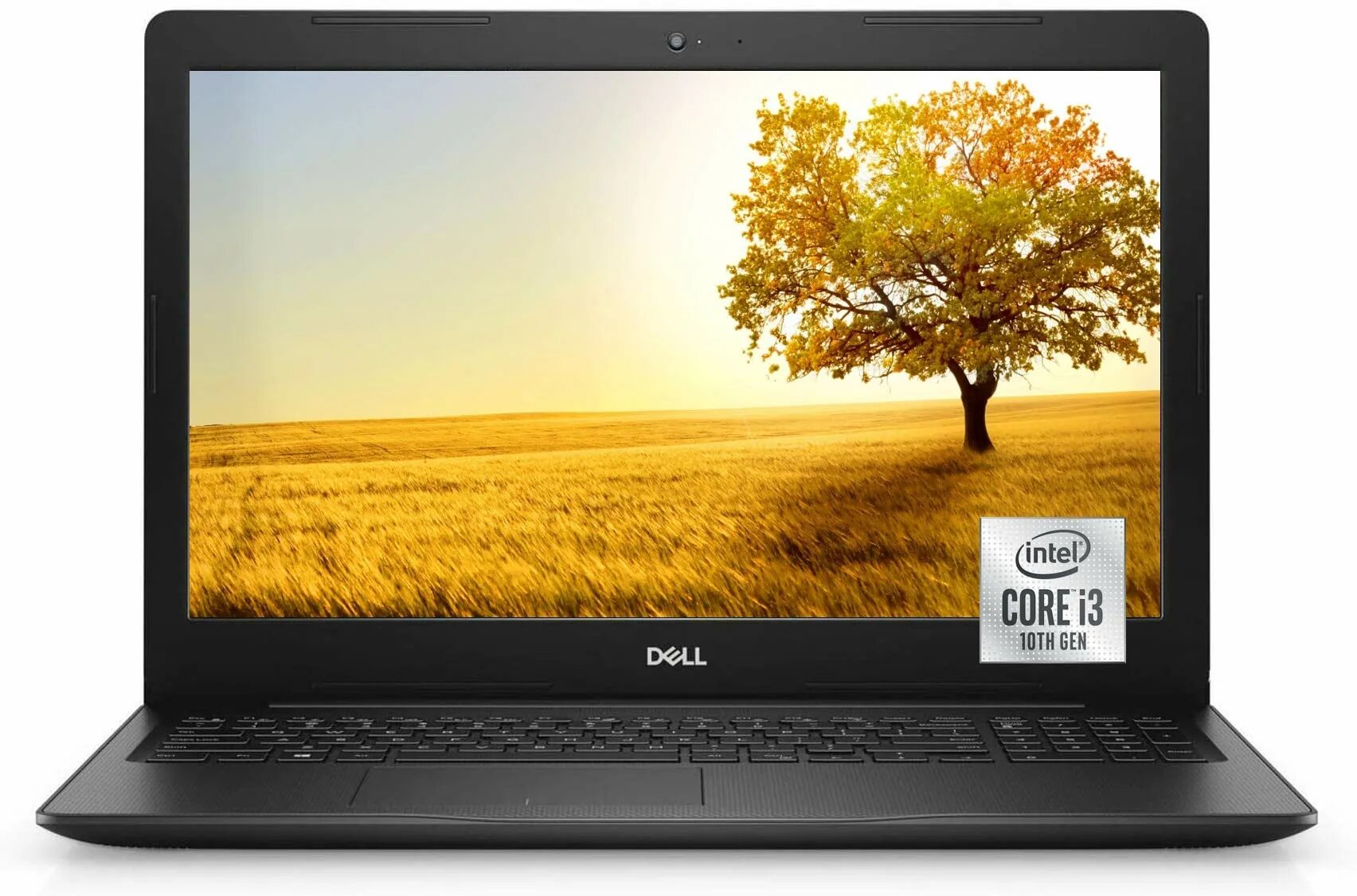 Dell Inspiron 15 3000. Ноутбук dell Inspiron 15. Ноутбук dell Inspiron 15 3000. Dell Inspiron 3593. Dell 15 3000 series