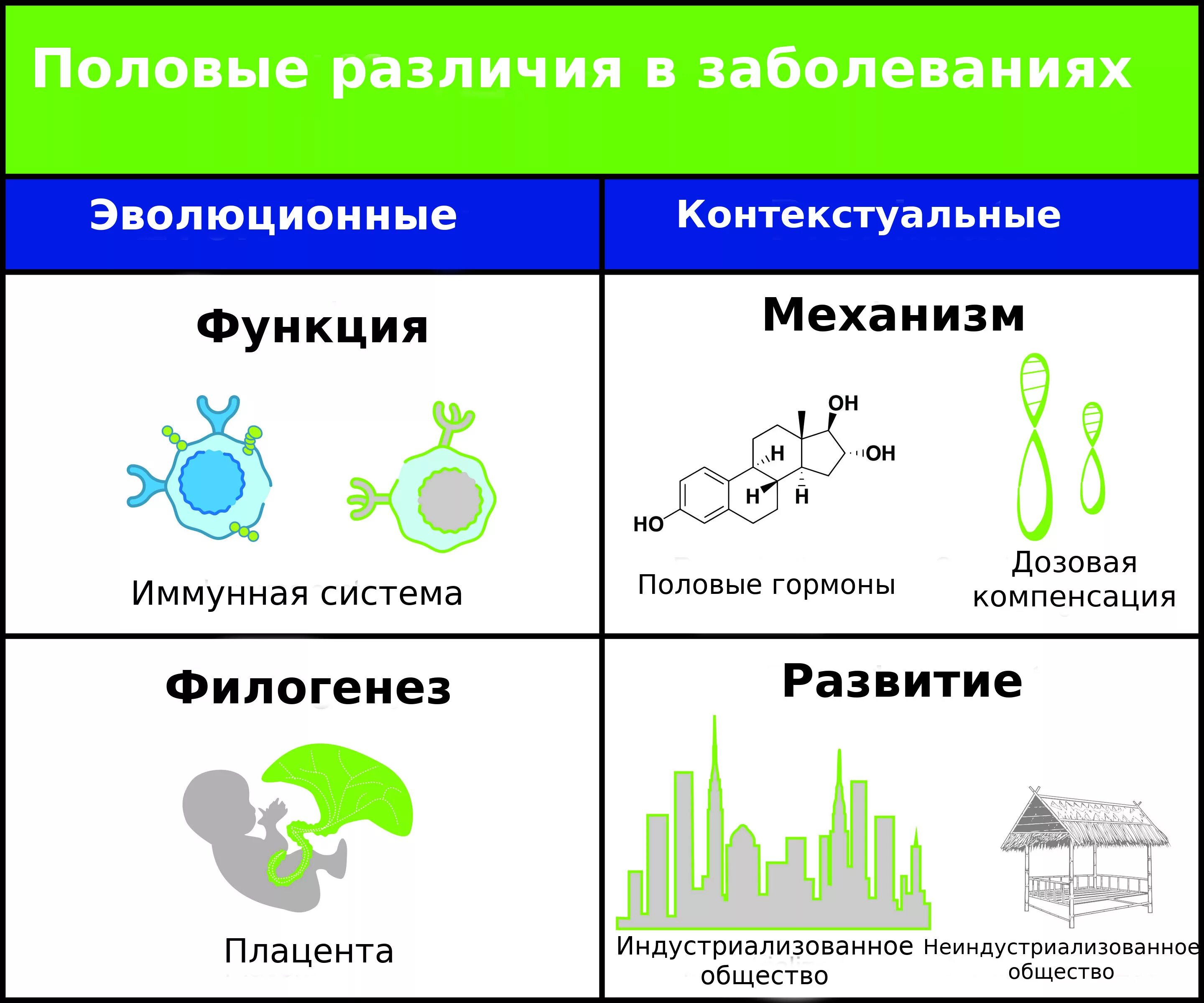 Гендерное различие полов. Различие половых систем. Гендерное различие заболеваний. Половые гормоны. Примеры половых различий..