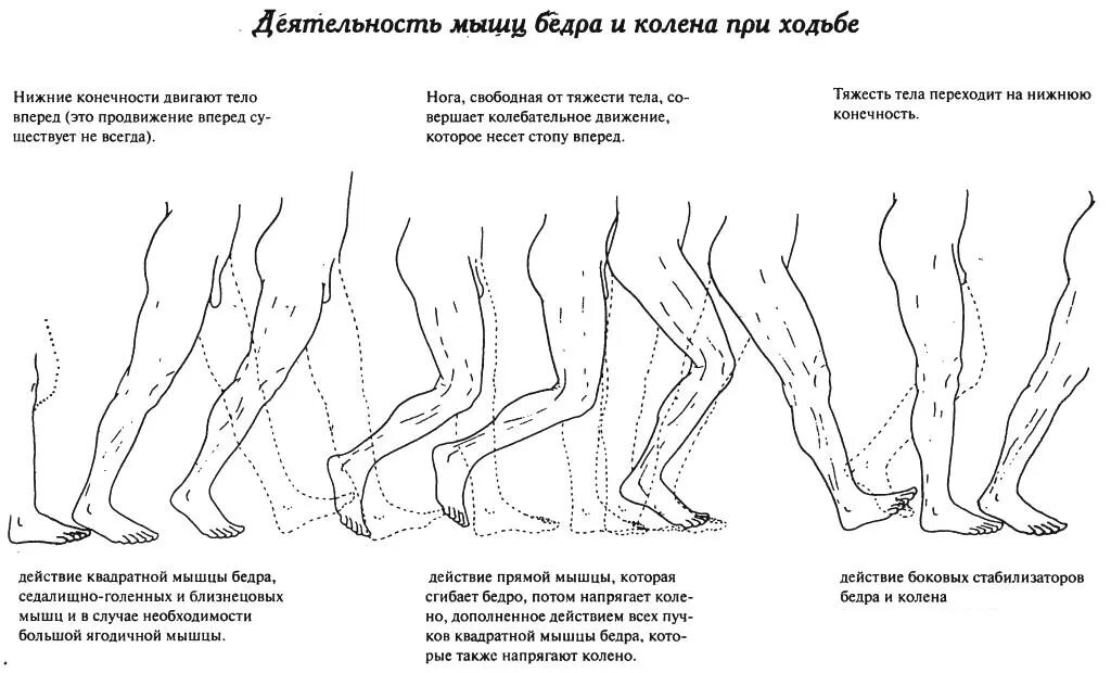 разработка сгибания коленного сустава. ходьба и суставы ног. ходьба и суставы ног. пожилые сустав. ходьба и суставы ног.