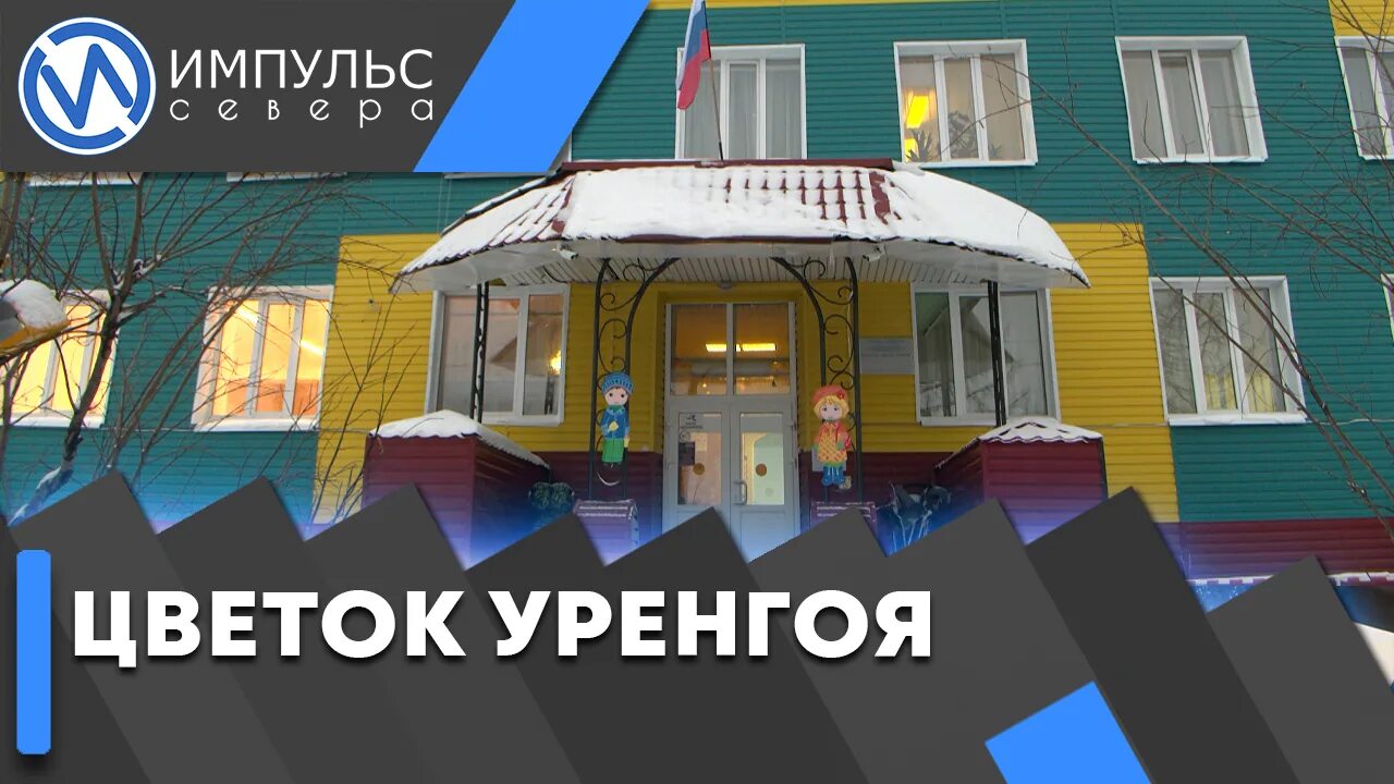 Цветок уренгоя детский сад новый уренгой. Цветок уренгоя детский сад новый уренгой. Детский сад снежинка новый уренгой. Растение в новом уренгое. Цветок уренгоя детский сад новый уренгой.