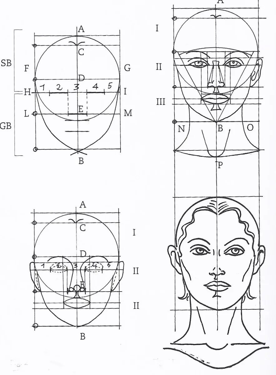 Лицо рисунок схема. Схема пропорций головы. Схема пропорций головы человека анфас. Портрет пропорции лица человека поэтапно. Пропорции лица человека для рисования.