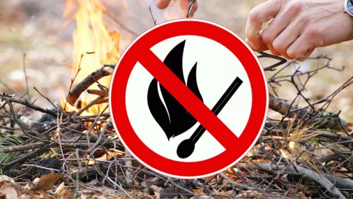 Где запрещено разводить костры на сухой траве. Особый противопожарный режим. Противопожарный режим в лесах. Противопожарные предупреждения в лесу. Весенний противопожарный режим в лесу.