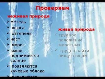 Живая природа вулкан сосулька дуб звезда