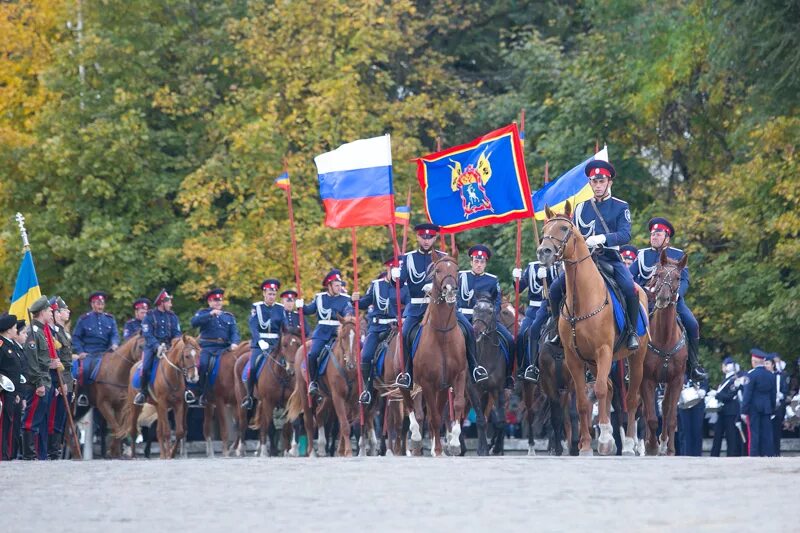 общество ростовская область. эмблема для пожилых. рго фотогалерея. общество ростовская область. председатель общественной палаты ростова на дону.