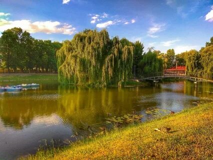 Вилия парк беларусь