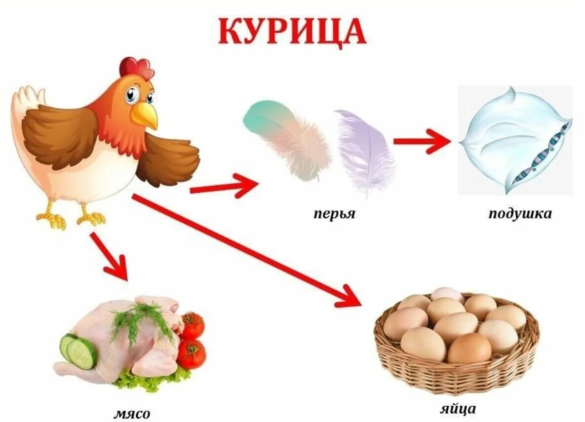 Курочка значение