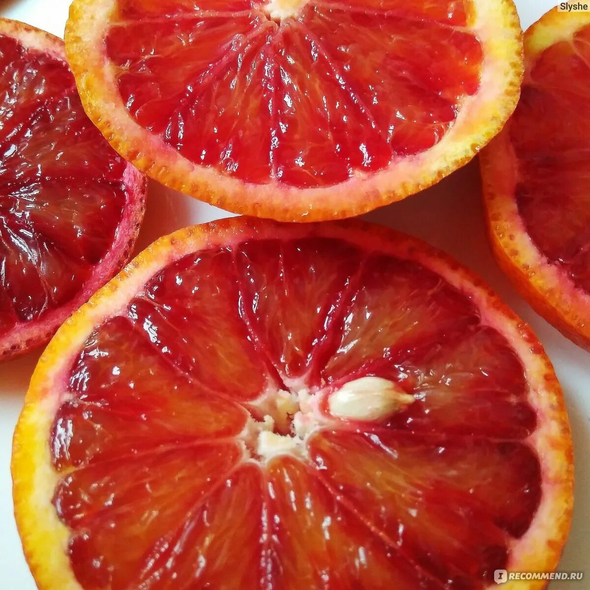 Гранатовый апельсин. Мандарин скрещенный с гранатом. Красный сицилийский апельсин. Апельсин с гранатом. Красный сицилийский апельсин.