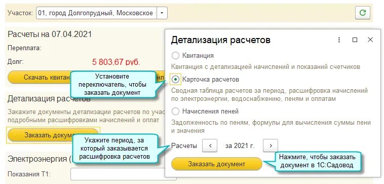 Оплата енс в 1с. Детализация расчетов. Детализация начисления пени. 1с Садовод личный кабинет. 1с:Садовод.