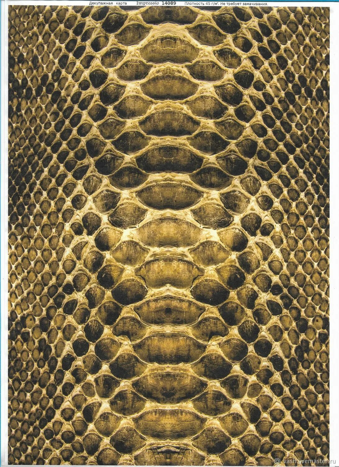 Python leather