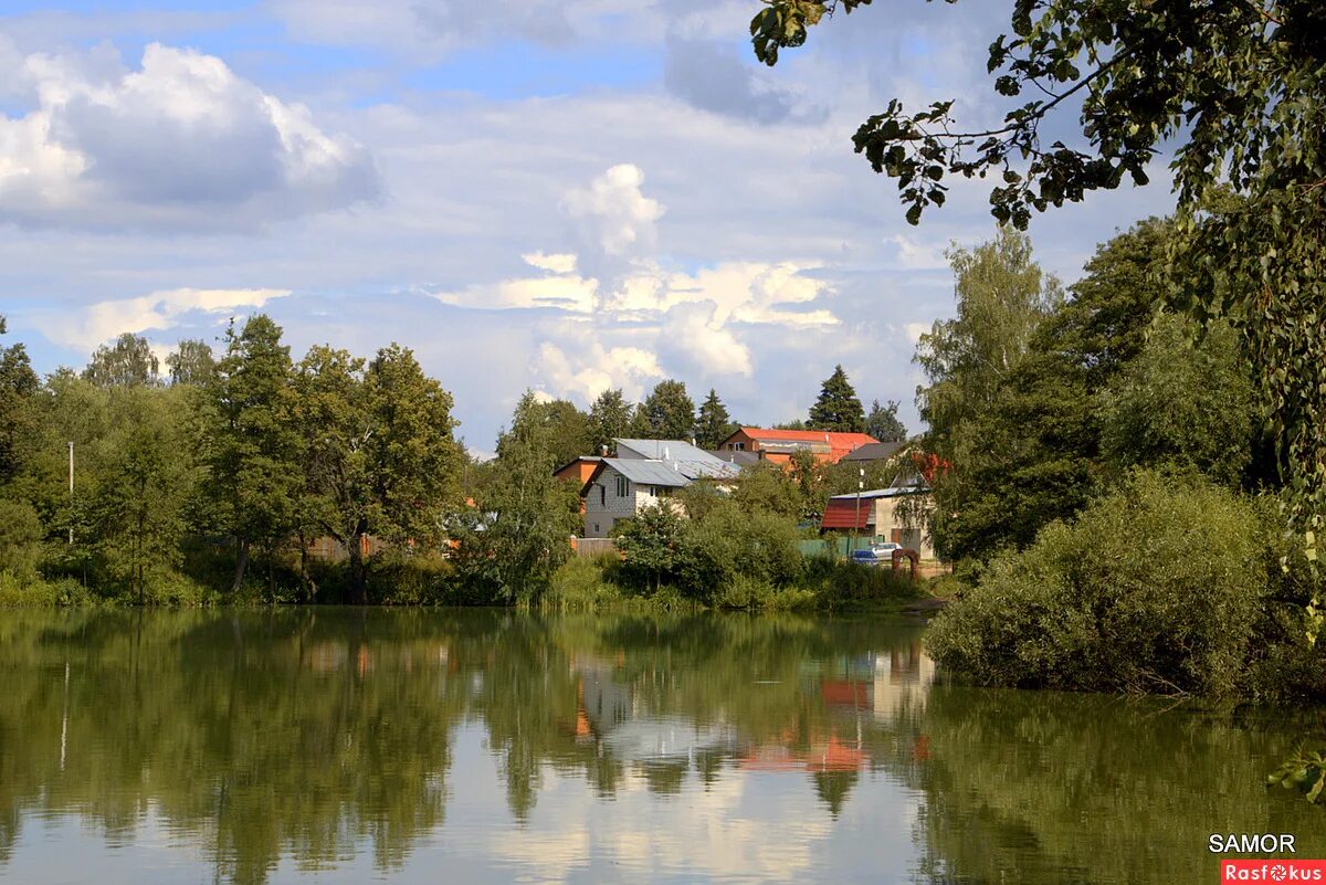 салтыковка пруд