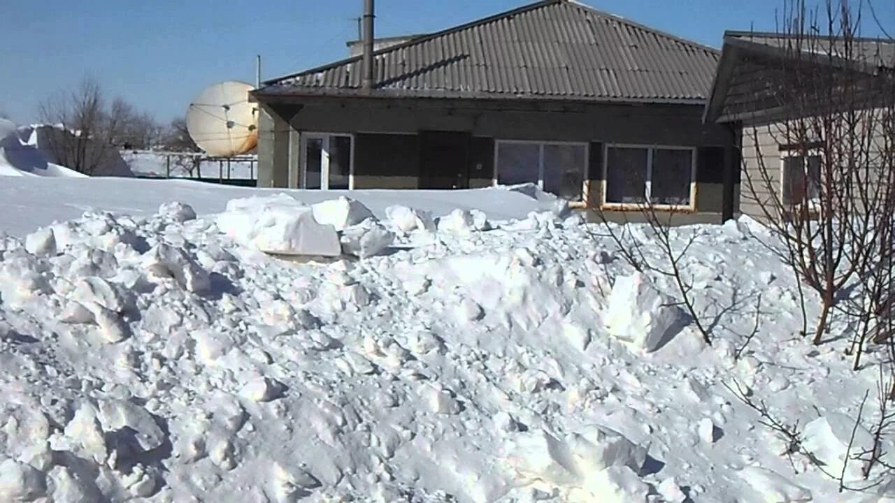 Погода кочки алтайского края. С Родино Родинский район Алтайский край. Алтайский край Родинский район село Родино. Кочки Родинский район Алтайский край. Село Кочки Алтайский край Родинский район.