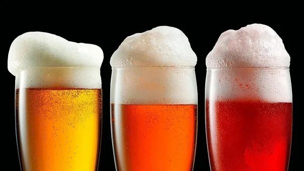 Как будет выглядеть экземплярная промлеживаемость по пиву Discover the Art of Brewing Beer at Home