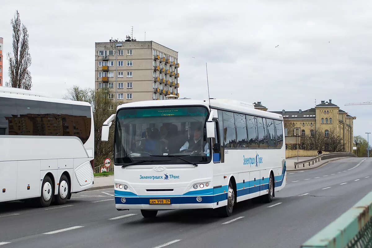 Автобусы Зеленоградск транс. Калининград автобус Зеленоградск-транс. Автобус 113. ООО Зеленоградск транс.