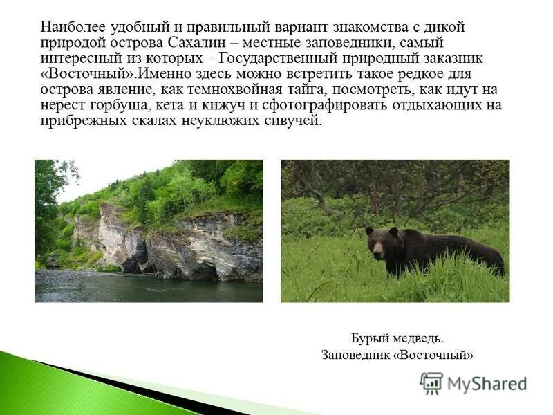 Ну что тебе сказать про сахалин текст. Рассказ о острове Сахалин. Сахалин презентация. Презентация остров Сахалин. Природа Сахалина презентация.