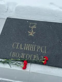 9 дней сталинград