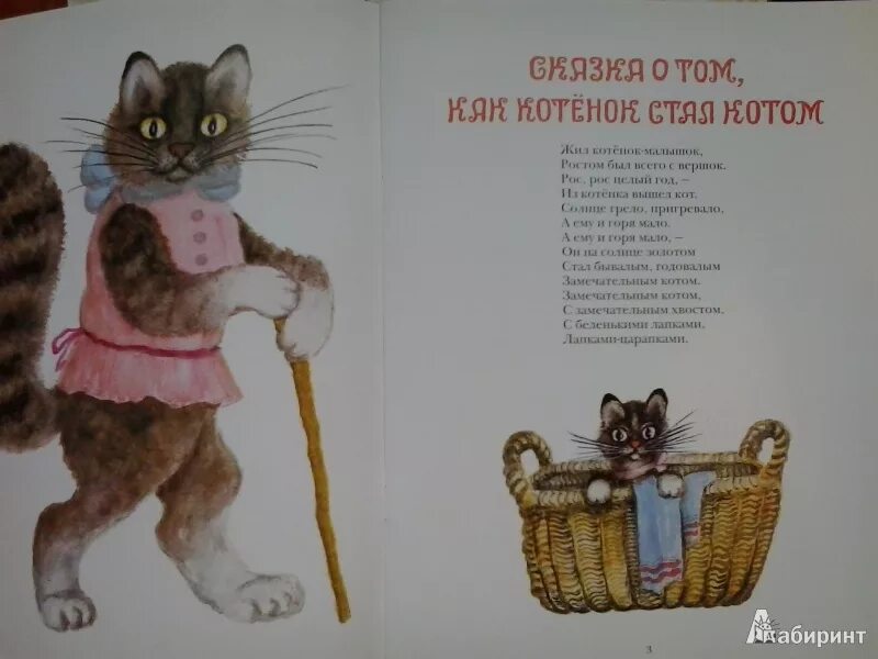 Стихотворение про кота. Сказка про кота. Сказки про котов. Кошки в сказках. Прокофьев книга кот