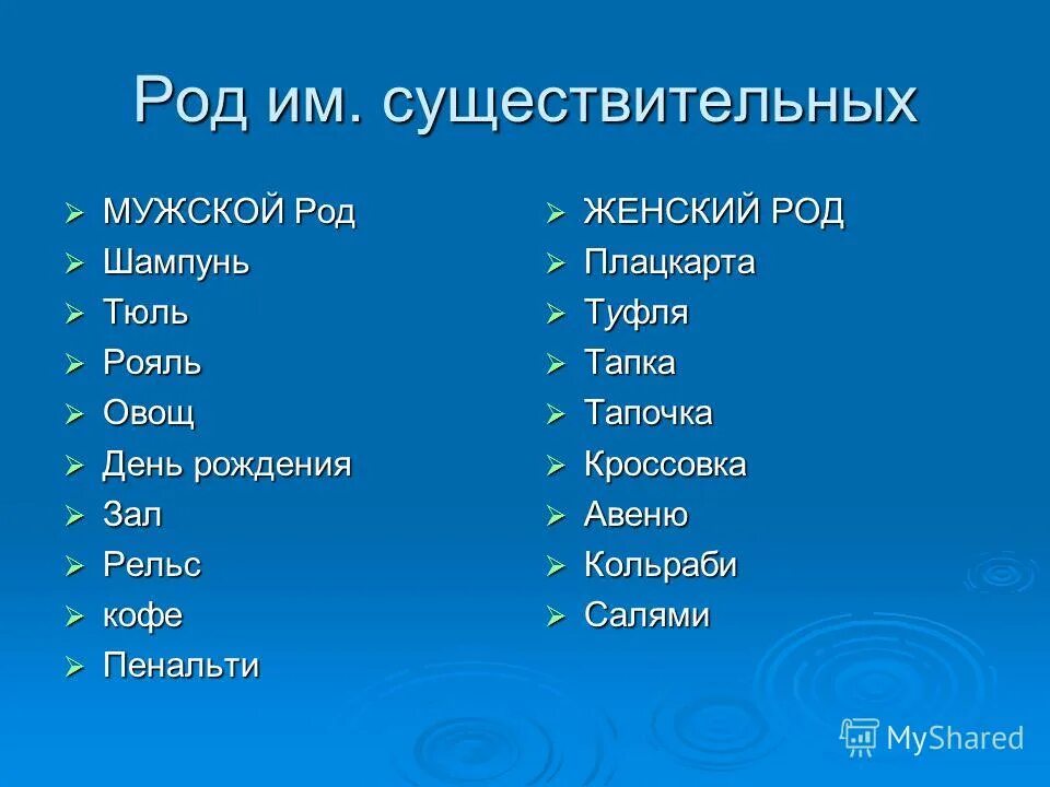 Мужской род исключения. Род существительных тюль шампунь. Тюль шампунь род существительного. Тюль шампунь. Шампунь какой род.