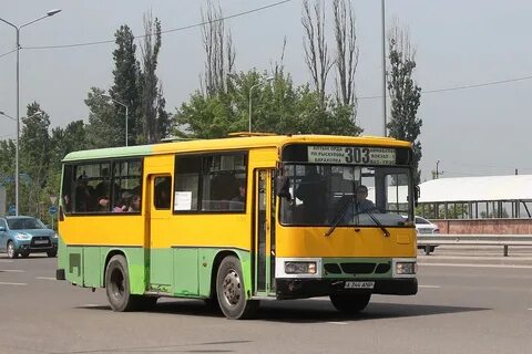 344 автобус