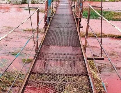 Сегодня кривой