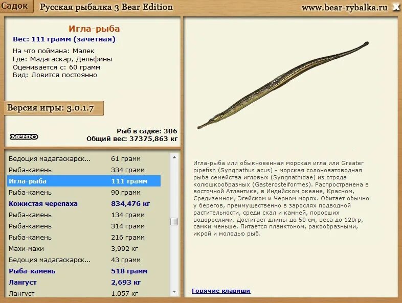 Рыба игла тайланд. Реальная рыбалка рыба игла. Рр 3. Реальная рыбалка рыба игла. Солоноватоводные рыбы.