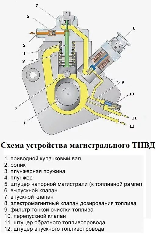 Топливный насос принцип. Конструкция топливного насоса высокого давления. ТНВД дизельного двигателя конструкция. Конструкция топливного насоса высокого давления бензина. Из чего состоит топливный насос высокого давления.