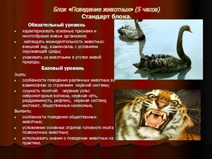 5 инстинктов животных