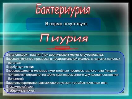 Пиурия