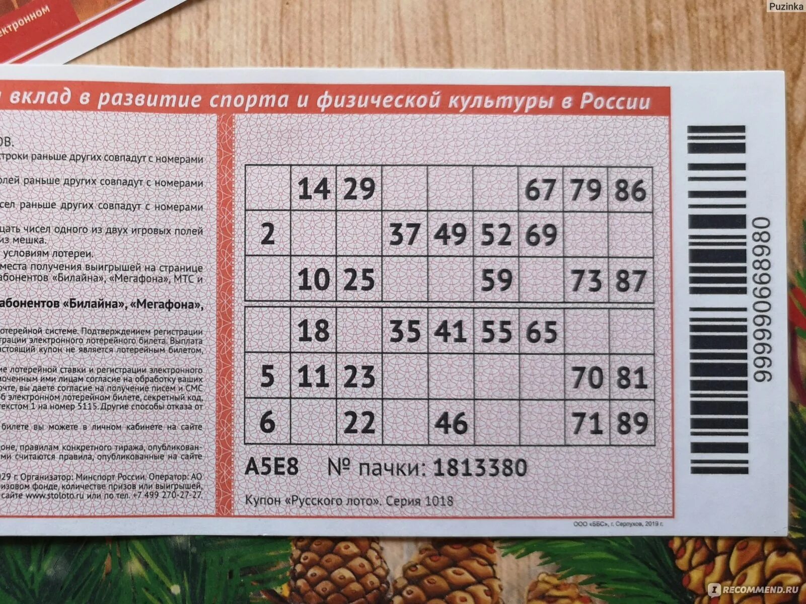 Номер билета русское лото. Билет русское лото билет. Русское лото тираж билет. Номер билета рускоготлото.