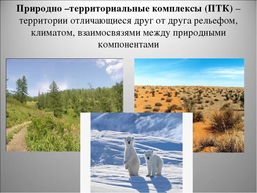 Природный комплекс локального уровня. Природный территориальный комплекс. ПТК природно территориальный комплекс. Региональные природные комплексы. Природно-территориальный комплекс презентация.